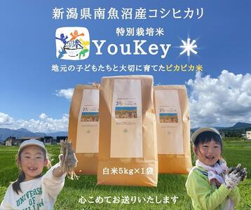新潟県南魚沼産　特別栽培米 「YouKey 米」 5kg（精米）＜クラウドファンディング対象＞