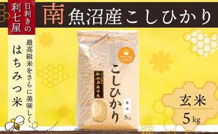 [令和6年産 新米予約]南魚沼産コシヒカリ『はちみつ米』玄米5kg×全3回[新潟県 特A地区][令和6年10月上旬より順次発送予定]