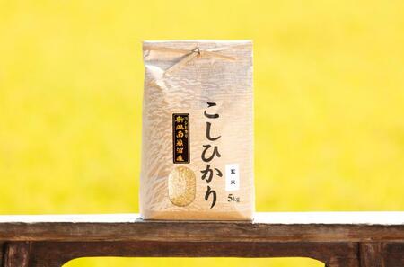 [令和5年産]南魚沼産コシヒカリ(玄米5kg×全9回)新潟県 特A地区の美味しいお米。