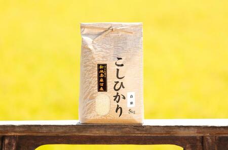 [令和5年産]南魚沼産コシヒカリ(白米5kg×全9回)新潟県 特A地区の美味しいお米。