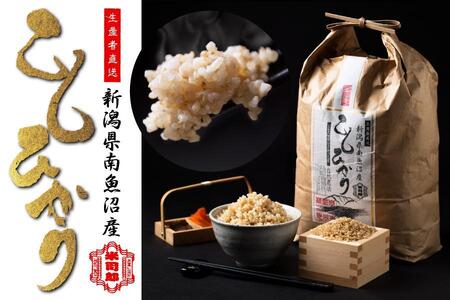 yߘa7NYzyāzR_@/w엿sgp̓싛YЂ10kg