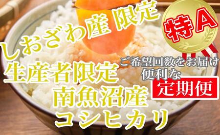 [定期便2kg×3ヶ月]しおざわ産限定 生産者限定 南魚沼産コシヒカリ