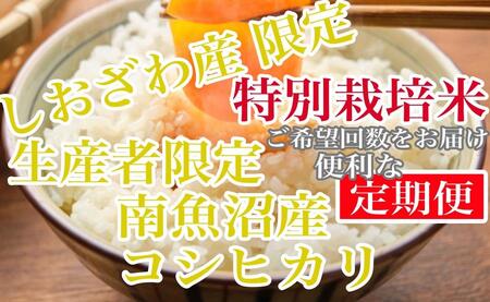 [定期便2kg×3ヶ月]特別栽培 しおざわ産限定 生産者限定 南魚沼産コシヒカリ