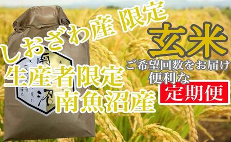 yߘa7NYzy6kg×12z Y YҌ 싛YRVqJy2025N10{菇\z