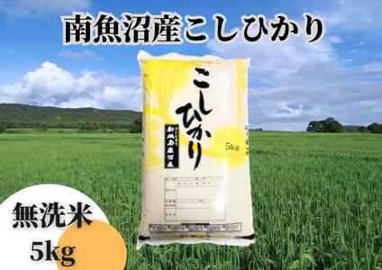 中[令和5年産][新潟県 特A地区]南魚沼産こしひかり 無洗米5kg