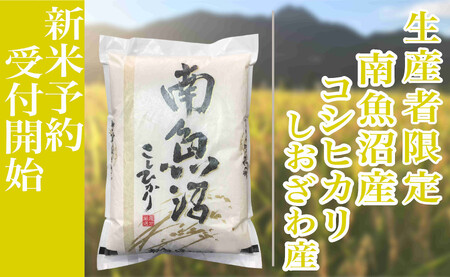 �y�ߘa7�N�Y�z����ւR�����F����5kg���Y�Ҍ��� �싛����������Y�R�V�q�J��