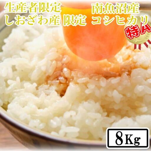 【令和7年産】【精米8kg】しおざわ産限定 生産者限定 南魚沼産コシヒカリ【銘柄米 ブランド米 精米 こしひかり コシヒカリ 魚沼産 新潟米 産地直送 お米 米 こめ コメ ご飯 御飯 ごはん】