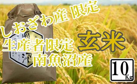 yߘa7NYzy10kgz Y YҌ 싛YRVqJy2025N10{菇\z
