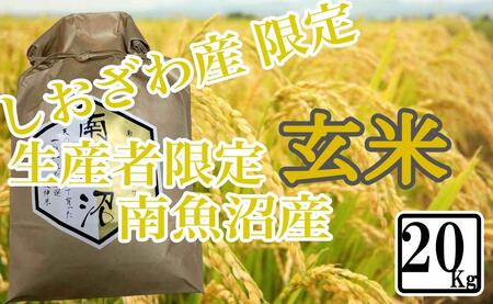 yߘa7NYzy20kgz Y YҌ 싛YRVqJy2025N10{菇\z