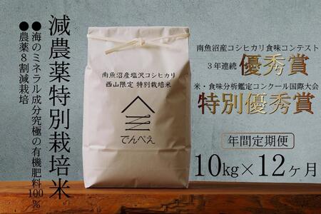 [年間定期便令和6年産新米予約]南魚沼食味コンクール3年連続優秀賞 減農薬特別栽培米10kg×12回 南魚沼塩沢産コシヒカリ[ こしひかり 塩沢 コシヒカリ お米 こめ 白米 食品 人気 おすすめ 新潟県 南魚沼市 AJ16-NT ]