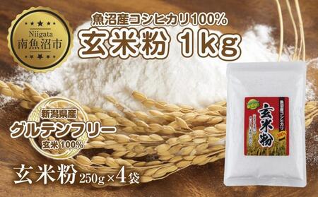 玄米粉 250g×4袋 計1kg 魚沼産 コシヒカリ 玄米 白米粉 グルテンフリー 小麦不使用 GABA アレルギー お取り寄せ パン ケーキ 菓子 ギフト 送料無料 コパフーズ 新潟県 南魚沼市