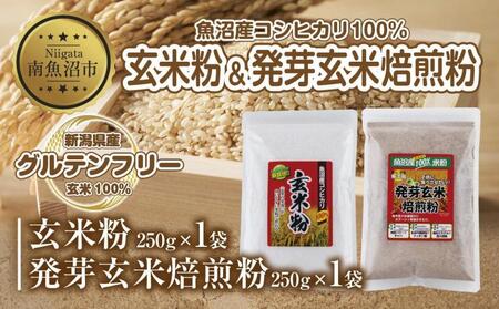 新潟県産 玄米粉 発芽玄米焙煎粉 セット 各250g 計500g 魚沼産 コシヒカリ 玄米 アレルギー グルテンフリー GABA 米粉 お取り寄せ お菓子 パン作り 製菓 コパフーズ 新潟県 南魚沼市