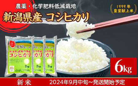 16-K61新潟県胎内市産ちょっと贅沢なコシヒカリ6kg(2kg×3袋)