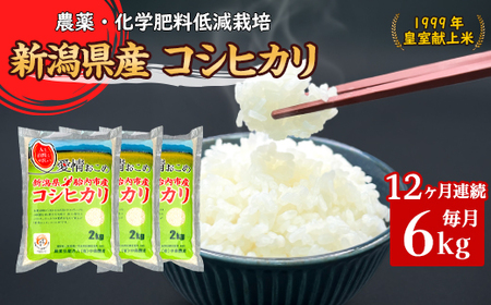 16-K6Z�y12�����A�����͂��z�V�����ٓ��s�Y��������ґ�ȃR�V�q�J��6kg�i2kg×3�܁j