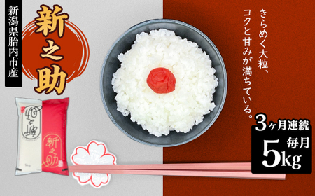 16-S53�y3�����A�����͂��z�V�����ٓ��s�Y��������ґ�ȐV�V��5kg