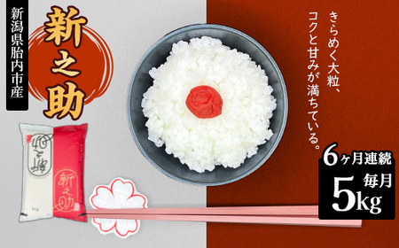 16-S56�y6�����A�����͂��z�V�����ٓ��s�Y��������ґ�ȐV�V��5kg