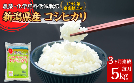 16-K53【3ヶ月連続お届け】新潟県胎内市産コシヒカリ5kg