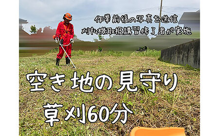 [胎内市内利用限定]草刈り作業代行 草刈り 空き地 空地 お手入れ 見守り報告1回(草刈り60分)