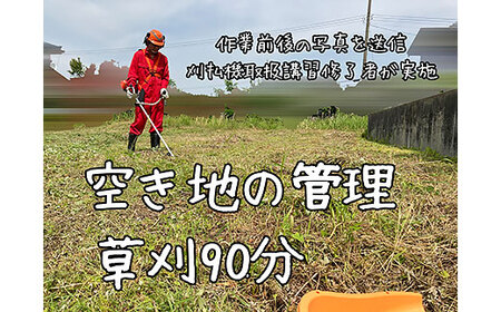 [胎内市内利用限定]草刈り作業代行 草刈り 空き地 空地 お手入れ 管理報告1回(草刈90分)