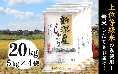 K201新潟県産コシヒカリ20kg（5kg×4袋）