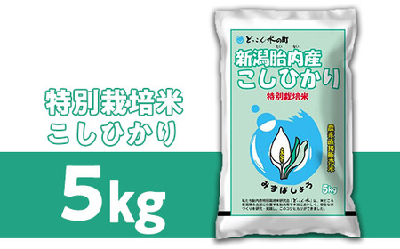 23-B3R5新潟県胎内市産「どっこん水」コシヒカリ5kg(特別栽培米研究会)