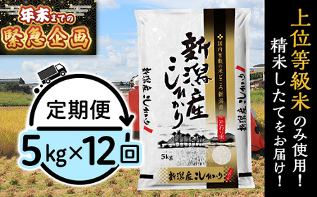 31-K5ZB[2026年2月発送開始]新潟県産コシヒカリ5kg[12ヶ月連続お届け]