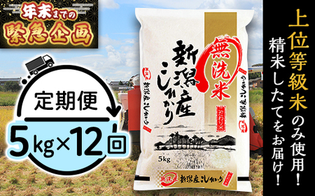 31-M5ZBy2026N2JnzyāzVYRVqJ5kgy12A͂z