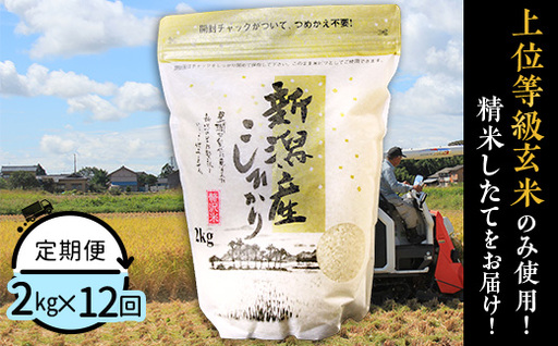 31-K2Z[12ヶ月連続お届け]新潟県産コシヒカリ2kg