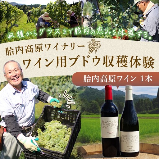 胎内高原ワイナリー ワイン用ブドウ収穫体験[ワイン1本付き]