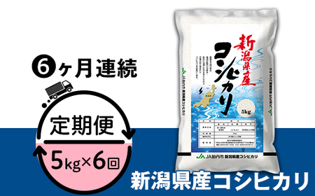 K56【6ヶ月連続お届け】新潟県産コシヒカリ5kg | 新潟県胎内市