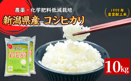 16-K101新潟県胎内市産コシヒカリ10kg（5kg×2袋）