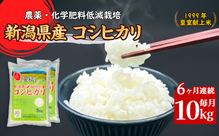 16-K106【6ヶ月連続お届け】新潟県胎内市産コシヒカリ10kg（5kg×2袋）