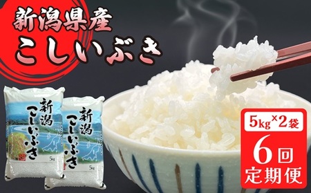 16-I106【6ヶ月連続お届け】新潟県胎内市産こしいぶき10kg（5kg×2袋）