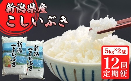 16-I10Z【12ヶ月連続お届け】新潟県胎内市産こしいぶき10kg（5kg×2袋）