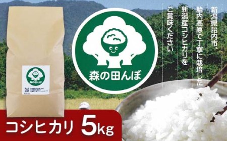 新潟県胎内産コシヒカリ5kg(森の田んぼ)