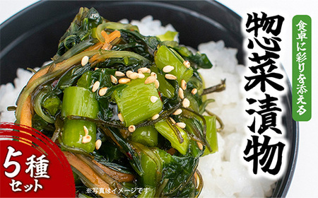 食卓を彩るお漬物6Pセット