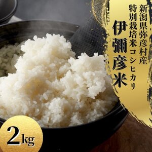 [お試し]令和7年産 特別栽培米コシヒカリ「伊彌彦米」精米 2kg 新潟県産弥彦村