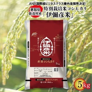 令和4年産特別栽培米コシヒカリ「伊彌彦米」5kg【1125999】