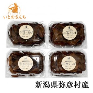 新潟県弥彦村産　越のうさぎ 生きくらげ(250g×4パック)_生きくらげ 中華料理 食材 中国料理_【配送不可地域：離島】【1354260】