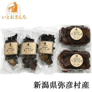 新潟県弥彦村産　越のうさぎ 　生きくらげ250g×2、乾燥きくらげ25g×3　詰め合せセット_生きくらげ 乾燥きくらげ 中華料理 食材 中国料理_【配送不可地域：離島】【1354456】