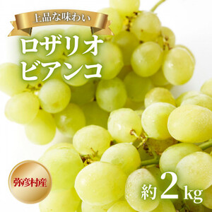 [上品な味わい]弥彦村農家のこだわりの逸品「ロザリオビアンコ」 約2kg ぶどう 新潟県 弥彦村_ブドウ ぶどう 上品な味わいのロザリオビアンコ 弥彦産 新潟県産_[配送不可地域:離島]