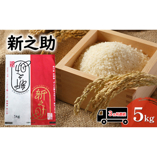 [先行予約 3か月連続定期便]令和8年産米 新之助 5kg お米 精米
