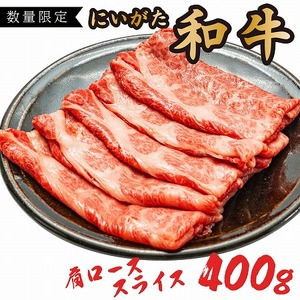  400g  V a [X XCX | Y јa ʌ Ԍ Ⓚ  ɂ  ؎R   2025N114