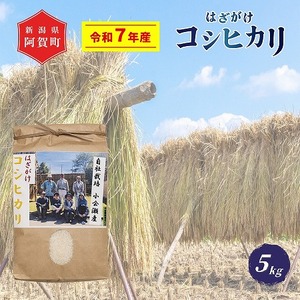 [新米予約] 米 5kg 新潟県産 コシヒカリ はざ掛け 天日干し 令和7年産 越後奥阿賀産 | 小会瀬 はざがけ こしひかり 一等米 送料無料 お取り寄せ お米 白米 精米 ※2025年10月下旬頃より順次発送