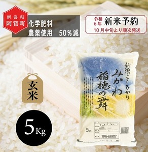 [新米予約] 玄米 5kg 新潟県産 コシヒカリ 「みかわ稲穂の舞」 令和6年産 5kg × 1袋 阿賀 三川 | こしひかり 白米 精米 送料無料 お取り寄せ お米 ※2024年10月中旬頃より順次発送