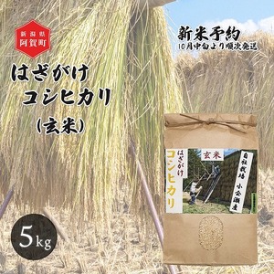 [新米予約] 玄米 5kg 新潟県産 コシヒカリ はざ掛け 天日干し 令和6年産 越後奥阿賀産 | 小会瀬 はざがけ こしひかり 一等米 送料無料 お取り寄せ お米 ※2024年10月中旬頃より順次発送