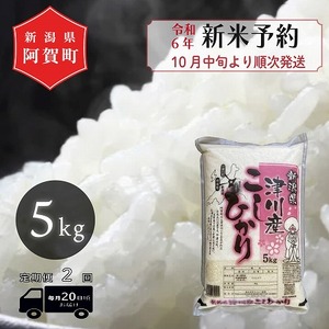 [先行予約][定期便2回] 米 5kg 新潟県産 「津川産 コシヒカリ」 令和6年産 5kg × 1袋 | 白米 精米 こしひかり 送料無料 お取り寄せ お米 ※2024年10月中旬頃より順次発送