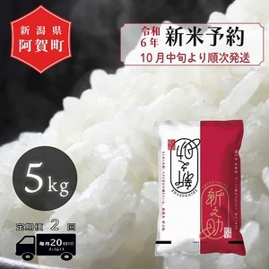 [先行予約][定期便2回] 米 5kg 新潟県産 「津川産 新之助」 令和6年産 5kg × 1袋 | 白米 精米 しんのすけ 送料無料 お取り寄せ お米 ※2024年10月中旬頃より順次発送