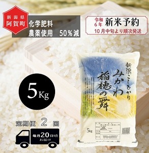 [先行予約] [定期便 2回] 米 5kg [ 新潟県産 コシヒカリ みかわ稲穂の舞 ] 令和6年産 5kg × 1袋 阿賀 三川 | 毎月 こしひかり 白米 精米 送料無料 お取り寄せ お米 金賞受賞 ※2024年10月中旬頃より順次発送