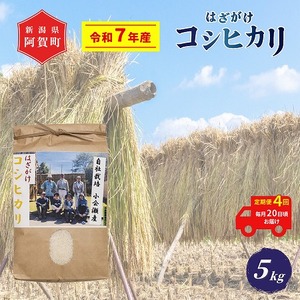 [定期便4回] 米 5kg 新潟県産 コシヒカリ はざ掛け 天日干し 令和7年産 越後奥阿賀産 | 小会瀬 はざがけ こしひかり 一等米 送料無料 お取り寄せ お米 白米 精米
